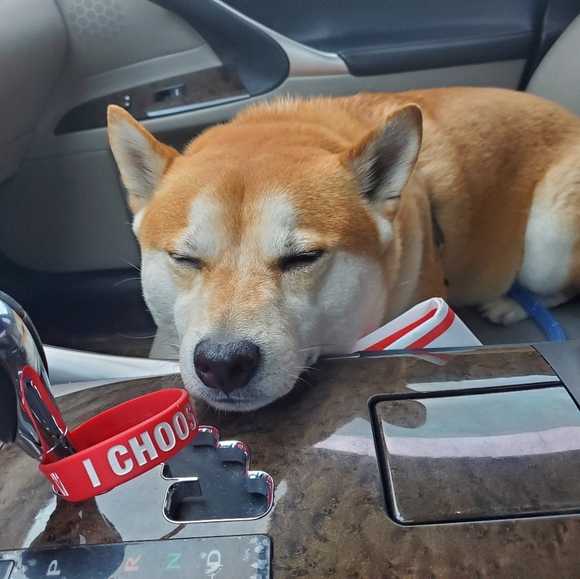 Meet your Posher, Eric - Picture 1 of 1